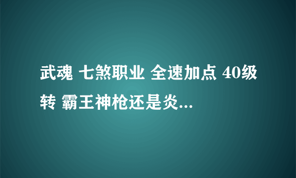 武魂 七煞职业 全速加点 40级转 霸王神枪还是炎魔啊？ 多谢执教啊