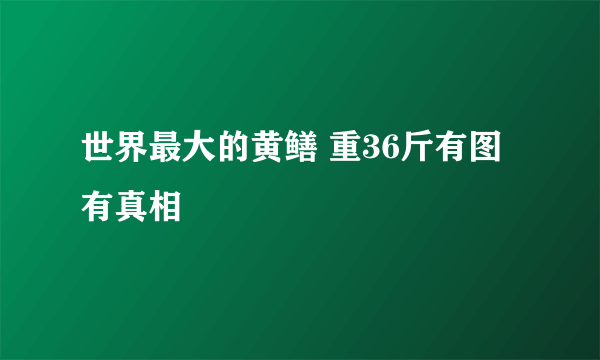 世界最大的黄鳝 重36斤有图有真相