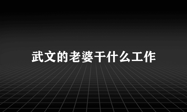 武文的老婆干什么工作