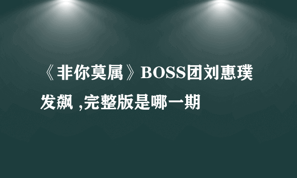 《非你莫属》BOSS团刘惠璞发飙 ,完整版是哪一期