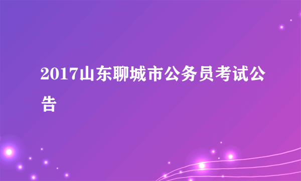 2017山东聊城市公务员考试公告