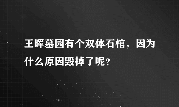 王晖墓园有个双体石棺，因为什么原因毁掉了呢？