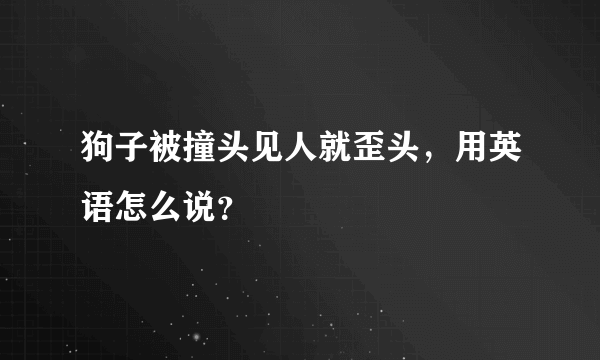 狗子被撞头见人就歪头，用英语怎么说？