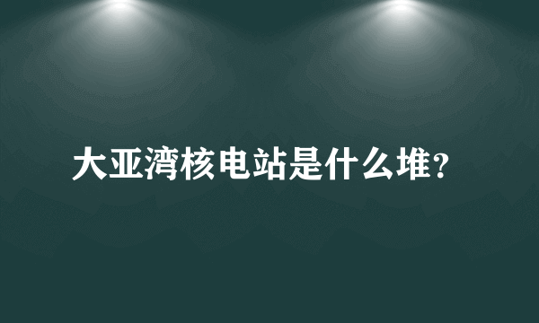 大亚湾核电站是什么堆？