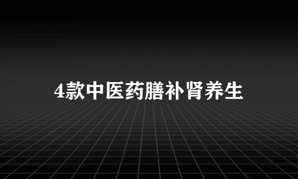 4款中医药膳补肾养生