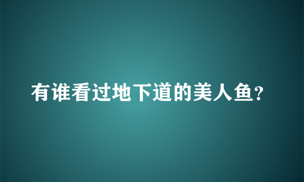 有谁看过地下道的美人鱼？