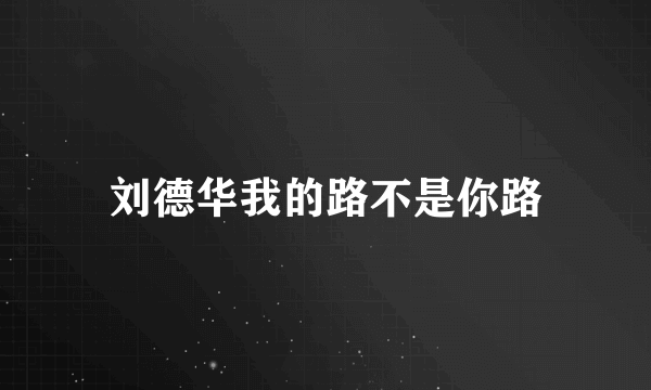 刘德华我的路不是你路