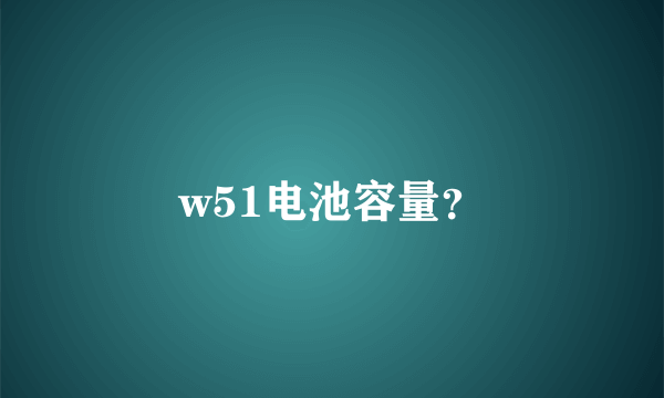 w51电池容量？