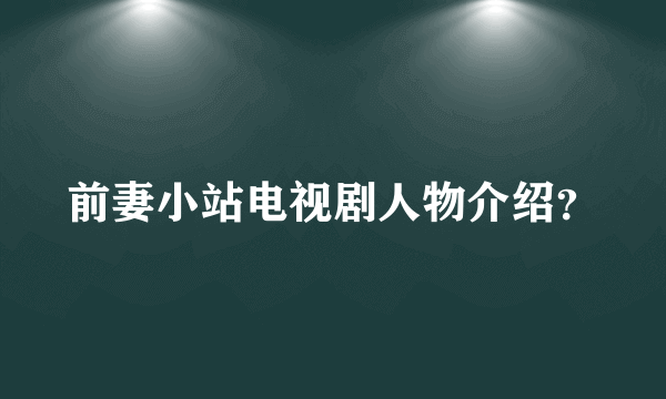 前妻小站电视剧人物介绍？