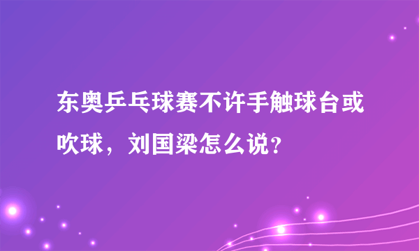 东奥乒乓球赛不许手触球台或吹球，刘国梁怎么说？