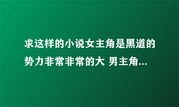 求这样的小说女主角是黑道的势力非常非常的大 男主角 的势力正好和女主角是敌对的 后来 女的把男的抓住