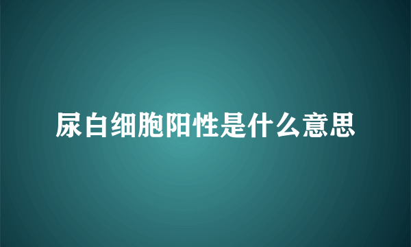 尿白细胞阳性是什么意思