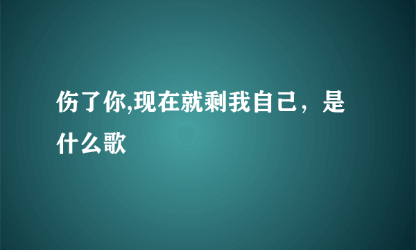 伤了你,现在就剩我自己，是什么歌