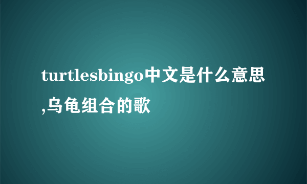 turtlesbingo中文是什么意思,乌龟组合的歌