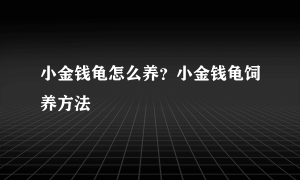 小金钱龟怎么养？小金钱龟饲养方法