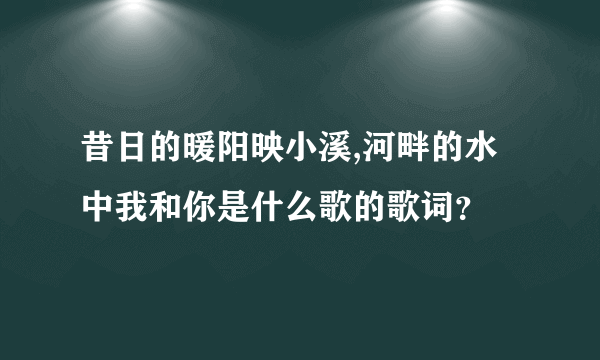 昔日的暖阳映小溪,河畔的水中我和你是什么歌的歌词？