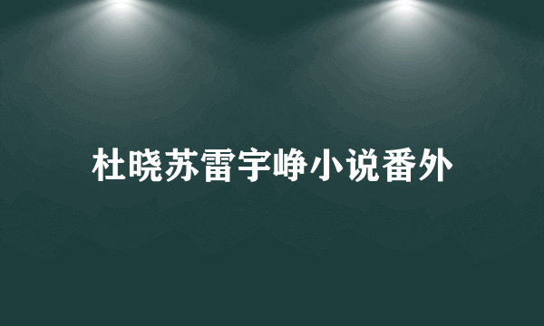 杜晓苏雷宇峥小说番外