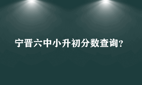 宁晋六中小升初分数查询？