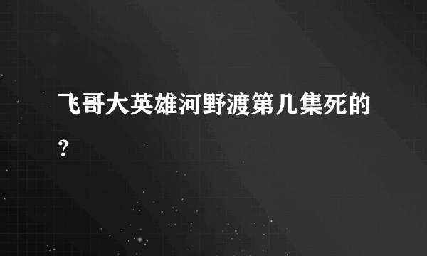 飞哥大英雄河野渡第几集死的？