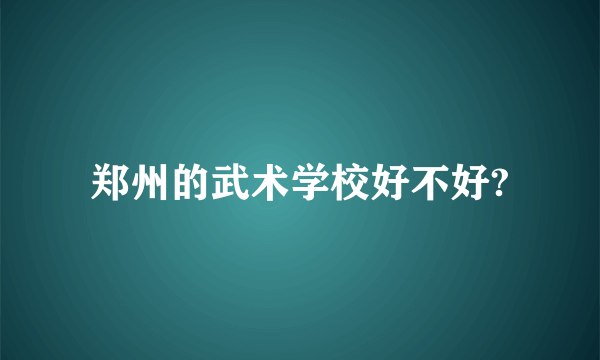 郑州的武术学校好不好?