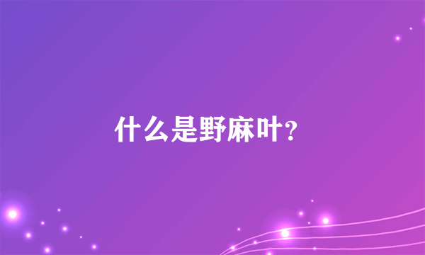 什么是野麻叶？