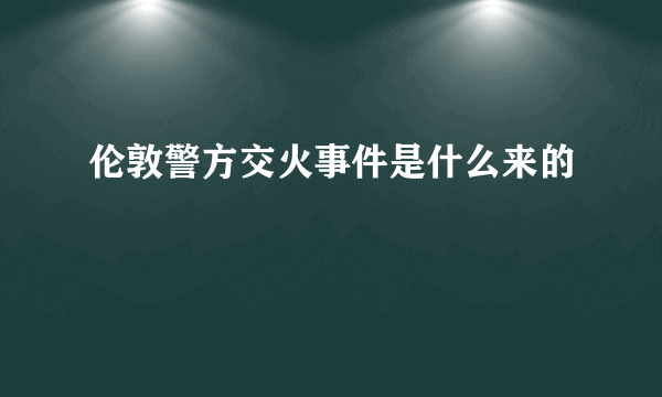 伦敦警方交火事件是什么来的