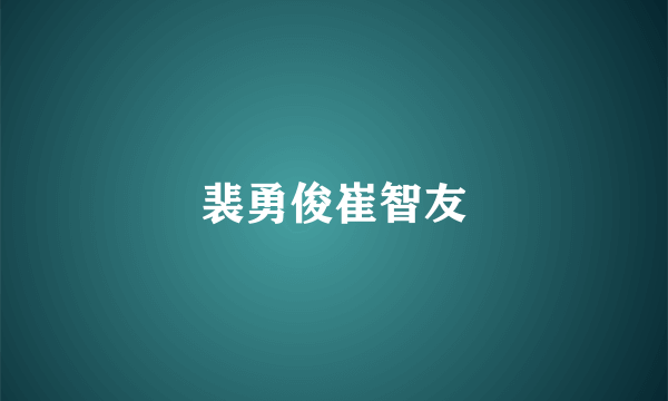 裴勇俊崔智友