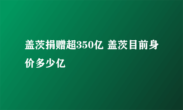 盖茨捐赠超350亿 盖茨目前身价多少亿