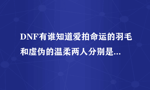 DNF有谁知道爱拍命运的羽毛和虚伪的温柔两人分别是哪里人？