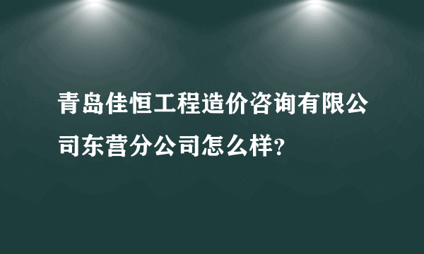 青岛佳恒工程造价咨询有限公司东营分公司怎么样？