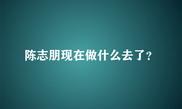 陈志朋现在做什么去了？