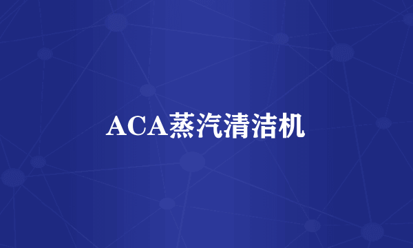 ACA蒸汽清洁机