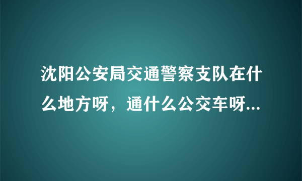 沈阳公安局交通警察支队在什么地方呀，通什么公交车呀，谢谢大家了！！！