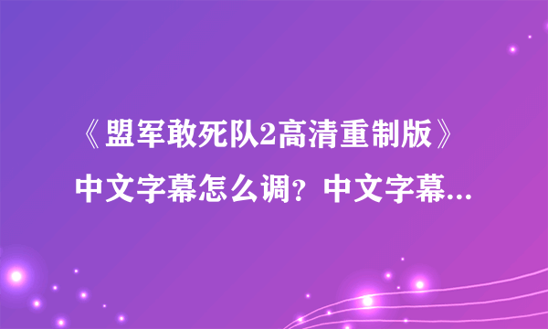 《盟军敢死队2高清重制版》中文字幕怎么调？中文字幕设置方法介绍