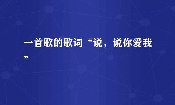 一首歌的歌词“说，说你爱我”