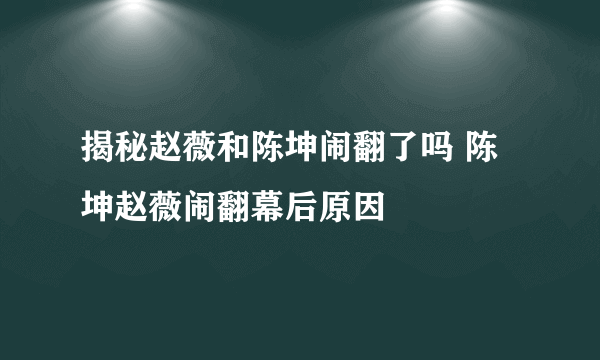 揭秘赵薇和陈坤闹翻了吗 陈坤赵薇闹翻幕后原因