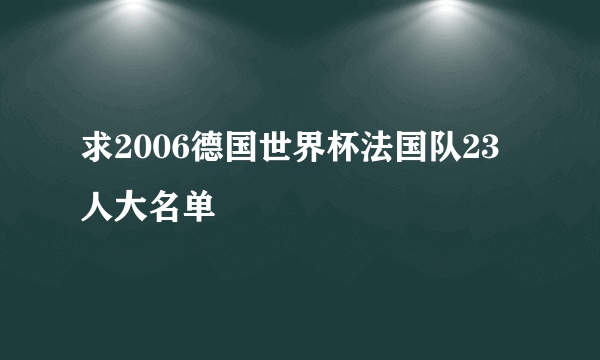 求2006德国世界杯法国队23人大名单