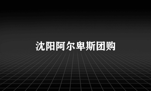 沈阳阿尔卑斯团购