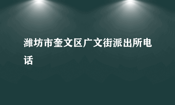 潍坊市奎文区广文街派出所电话