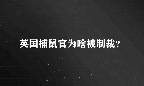 英国捕鼠官为啥被制裁？