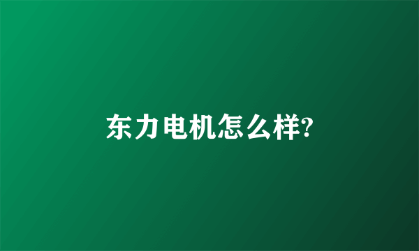 东力电机怎么样?