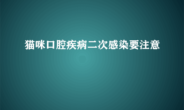 猫咪口腔疾病二次感染要注意