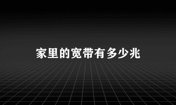 家里的宽带有多少兆