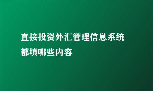 直接投资外汇管理信息系统 都填哪些内容