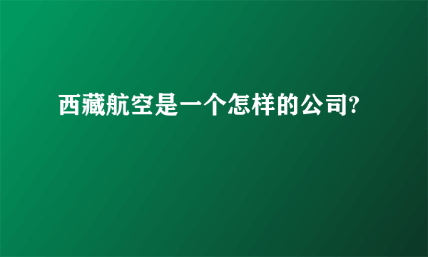 西藏航空是一个怎样的公司?