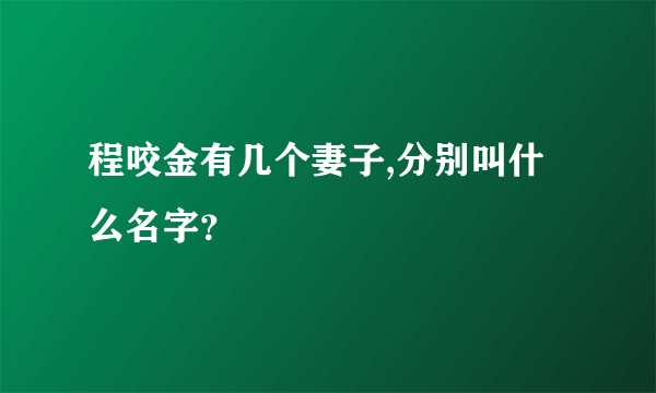 程咬金有几个妻子,分别叫什么名字？