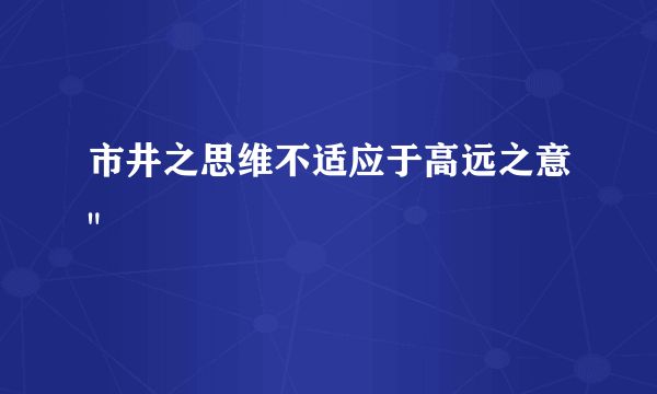 市井之思维不适应于高远之意