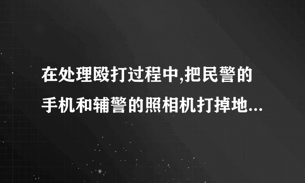 在处理殴打过程中,把民警的手机和辅警的照相机打掉地方有什么后果？