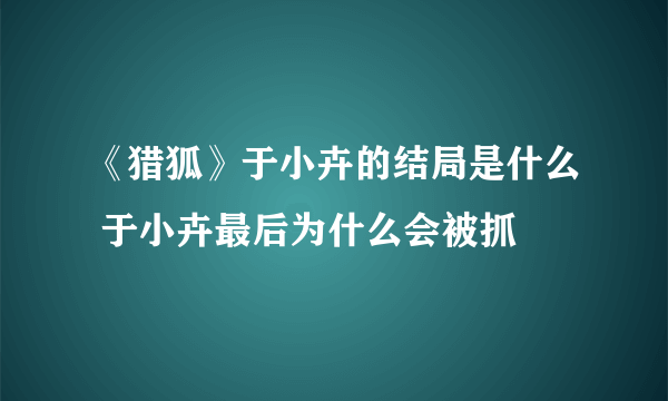 《猎狐》于小卉的结局是什么 于小卉最后为什么会被抓