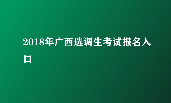 2018年广西选调生考试报名入口